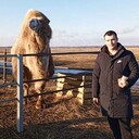 ���������� ��������, ���� ������� ������, 33 ����, ������������ ��� ������, ����� � ���������