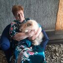  ,   , 65 ,   ,   