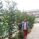  ,   , 70 ,     , c 
