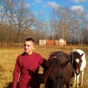 ���������� ����������, ���� ������� ϸ��, 33 ����, ������������ ��� ������, ����� � ���������, c�������� ���������