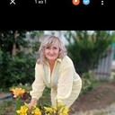  ,   , 53 ,   