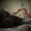 ���������� ������, ���� ������� �����, 31 ���, ������������ ��� ������, ����� � ���������, c�������� ���������