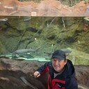 ���������� ������, ���� ������� ���, 40 ���, ������������ 