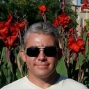 ���������� ���������, ���� ������� ����, 49 ���, ������������ ��� ������, ����� � ���������, c�������� ���������