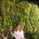 ���������� �������, ���� ������� ��������, 44 ����, ������������ 