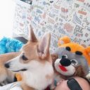 ���������� ������������, ���� ������� ����, 32 ����, ������������ ��� ������, ����� � ���������