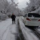 ���������� �����, ���� ������� �����, 37 ���, ������������ ��� ������, ����� � ���������