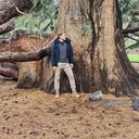 ���������� �����������, ���� ������� ����, 37 ���, ������������ ��� ������, ����� � ���������