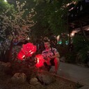 ���������� �������, ���� ����� ����, 25 ���, ������������ ��� ������, ����� � ���������