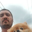 ���������� ������, ���� ������� ����, 38 ���, ������������ ��� ������, ����� � ���������