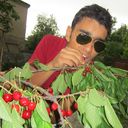 ���������� �������, ���� ������� Gio, 31 ���, ������������ ��� ������, ����� � ���������, c�������� ���������