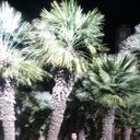 ���������� �����-���������, ���� ������� Famil, 41 ���, ������������ ��� ������, ����� � ���������, c�������� ���������, ���������