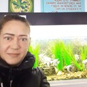 ���������� �����, ���� ������� �������, 47 ���, ������������ 