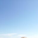 ���������� ����������, ���� ������� ����, 68 ���, ������������ ��� ������, ����� � ���������, c�������� ���������