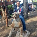 ���������� ����, ���� ������� ����, 41 ���, ������������ ��� ������, ����� � ���������, c�������� ���������, ���������