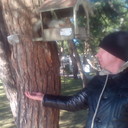 ���������� ���������, ���� ������� �����, 40 ���, ������������ ��� ������, ����� � ���������, c�������� ���������