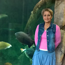 ���������� �����, ���� ������� �������, 55 ���, ������������ ��� ������, ����� � ���������, c�������� ���������