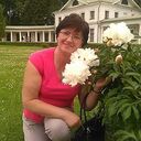  ,   , 59 ,     