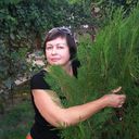 ���������� �����������, ���� ������� �������, 62 ����, ������������ ��� ������, ����� � ���������, c�������� ���������