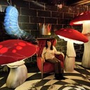  -,   , 37 ,   ,   , c 