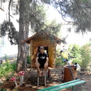 ���������� �����������, ���� ������� ����, 37 ���, ������������ ��� ������, ����� � ���������, c�������� ���������