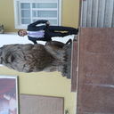 ���������� �������, ���� ������� �������, 34 ����, ������������ ��� ������