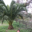 ���������� ����������, ���� ������� Sergii, 45 ���, ������������ ��� ������