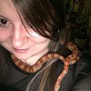 ���������� �����������, ���� ������� �����, 34 ����, ������������ ��� ������, ����� � ���������, c�������� ���������