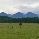 ���������� ��������, ���� ������� �������, 39 ���, ������������ ��� ������, ����� � ���������, c�������� ���������