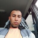 ���������� �����������, ���� ������� Lion, 36 ���, ������������ ��� ������, ����� � ���������