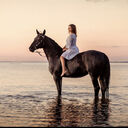 ���������� �����-���������, ���� ������� �������, 44 ����, ������������ ��� ������, ����� � ���������, c�������� ���������, ���������