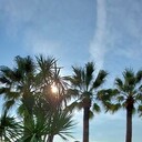 ���������� ���������, ���� ������� ������, 48 ���, ������������ ��� ������, ����� � ���������, c�������� ���������