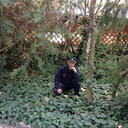  ,   , 46 ,     , c 