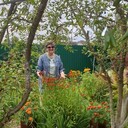 ���������� ���������, ���� ������� ����, 61 ���, ������������ ��� ����� � ���������, c�������� ���������