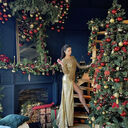 ���������� ���������, ���� ������� ������, 30 ���, ������������ ��� c�������� ���������