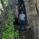 ���������� ����������, ���� ������� �����, 40 ���, ������������ ��� ������, ����� � ���������