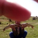 ���������� ����������, ���� ������� ������, 27 ���, ������������ ��� ������, ����� � ���������, c�������� ���������