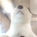 ���������� ������, ���� ������� ����, 44 ����, ������������ ��� ������, ����� � ���������, c�������� ���������