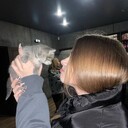 ���������� ������, ���� ������� ����������, 23 ����, ������������ ��� ������, ����� � ���������, c�������� ���������, ���������