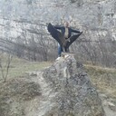 ���������� �����������, ���� ������� �������, 44 ����, ������������ ��� ������, ����� � ���������