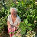 ���������� ���������, ���� ������� ��������, 70 ���, ������������ ��� c�������� ���������