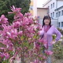 ���������� ������, ���� ������� �����, 62 ����, ������������ ��� ����� � ���������, c�������� ���������