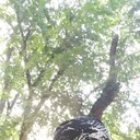  ,   , 58 ,   ,   , c , 
