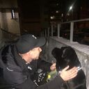 ���������� �������, ���� ������� ������, 43 ����, ������������ ��� ������, ����� � ���������