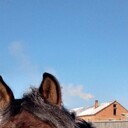 ���������� ��������, ���� ������� �������, 30 ���, ������������ ��� ������, ����� � ���������