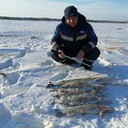 ���������� ���������� �����, ���� ������� ������, 35 ���, ������������ ��� ������, ����� � ���������