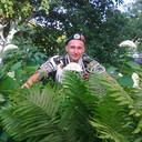 ���������� �����, ���� ������� �����, 40 ���, ������������ ��� ������, ����� � ���������, c�������� ���������