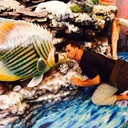 ���������� �����������, ���� ������� �������, 48 ���, ������������ ��� ������, ����� � ���������, ���������