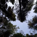 ���������� �����-���������, ���� ������� �������, 43 ����, ������������ ��� ������, ����� � ���������, c�������� ���������