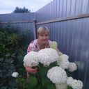 ���������� ������, ���� ������� �������, 56 ���, ������������ ��� ������, ����� � ���������